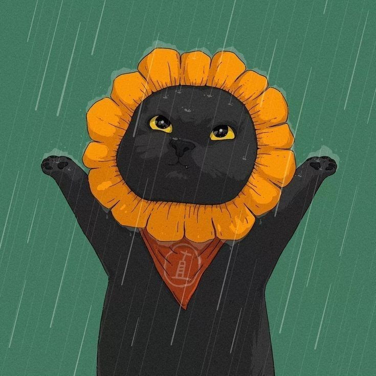 Trải nghiệm Trải nghiệm